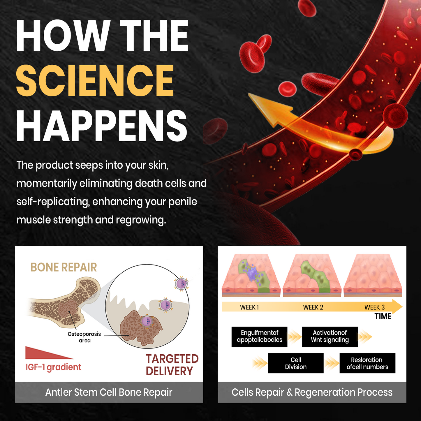 Luhaka™ AntlerMax Boost Vitality Cream 🏋️‍♀️2